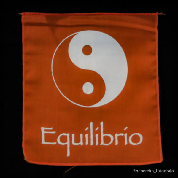 RC Pereira Fotografo em Balneário Camboriú - Mara dos Santos Terapeuta-121