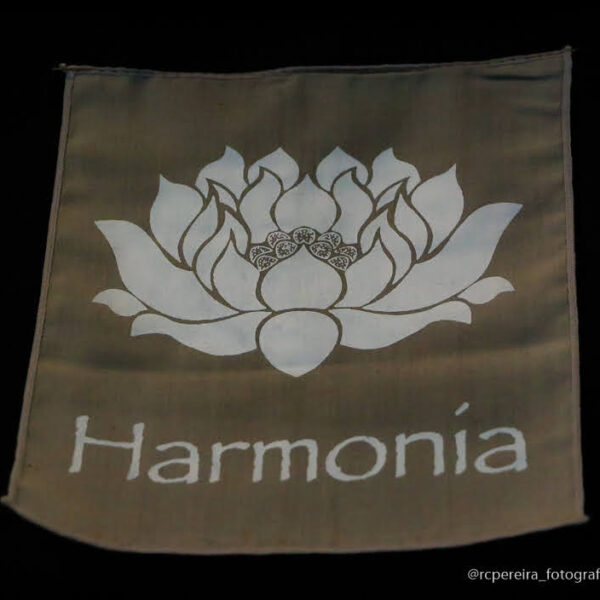 RC Pereira Fotografo em Balneário Camboriú - Mara dos Santos Terapeuta-123