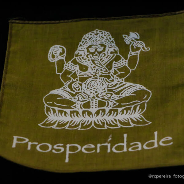 RC Pereira Fotografo em Balneário Camboriú - Mara dos Santos Terapeuta-124