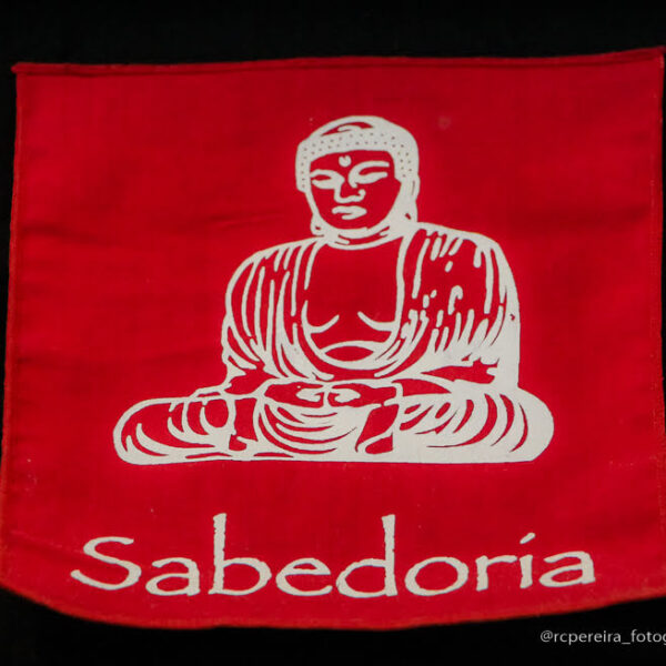 RC Pereira Fotografo em Balneário Camboriú - Mara dos Santos Terapeuta-125