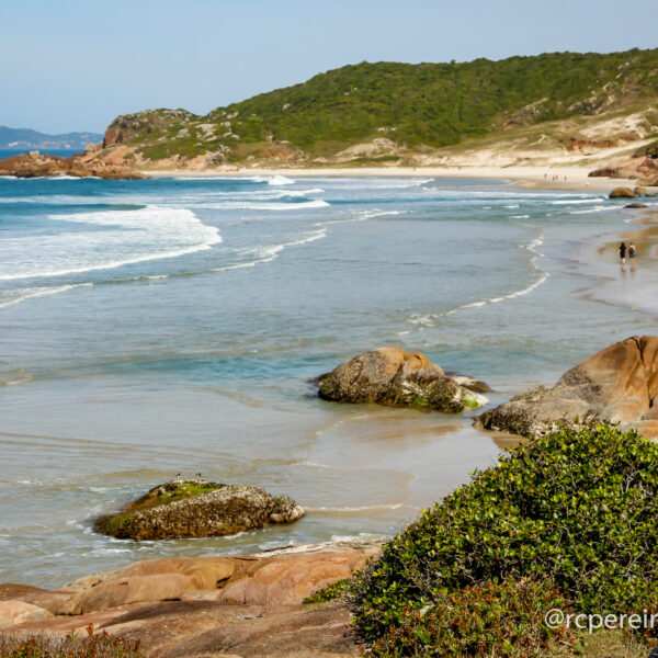 Fotos RC Pereira Fotografo em Palhoça Praia Guarda do Embaú, Praia Pinheira Santa Catarina -16